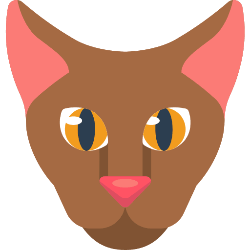 Cat feline avatar domestic icon