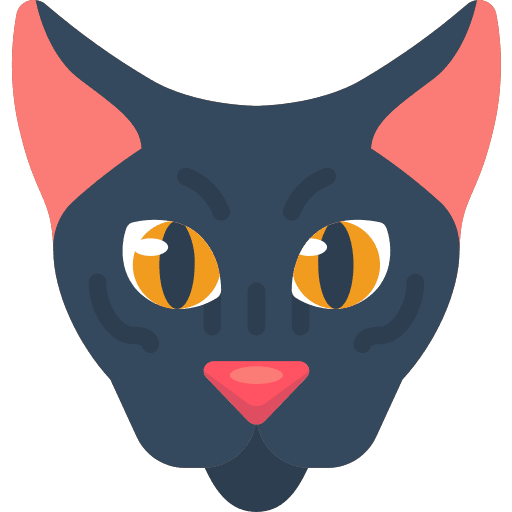 Cat kitty pet domestic icon