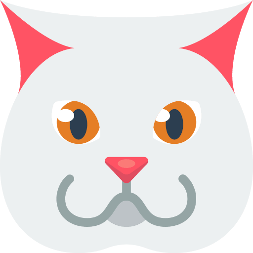 Chubby chubby cat domestic icon