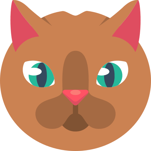 Chubby kitty breed feline icon