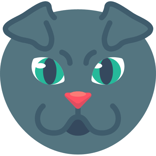 Fold ear kitty feline cat icon