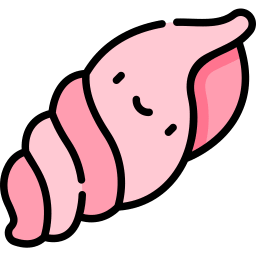 Shell sea life sea snail animal icon