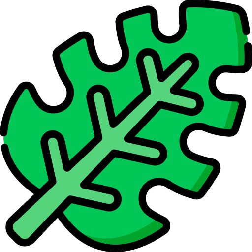 Leaf plant leaf leaves icon