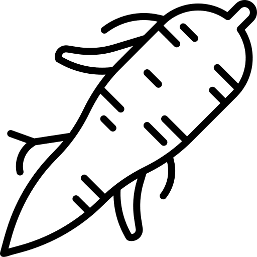 Ginseng medicine food and restaurant nature icon