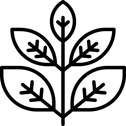 Herbal herbal leaf relax icon