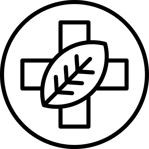 Herbal wellness therapy herbal icon