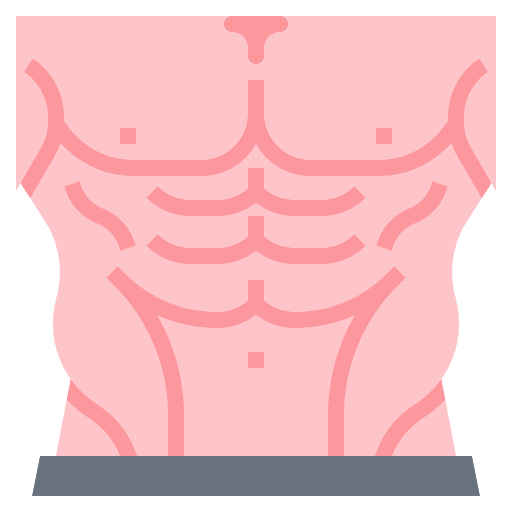 Six pack workout body fitness icon