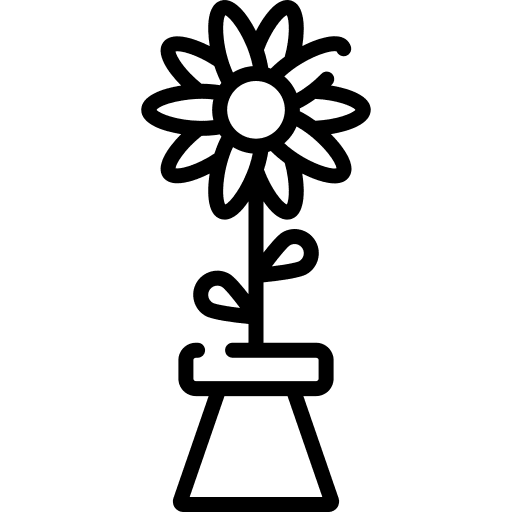 Daisy birthday and party nature petals icon