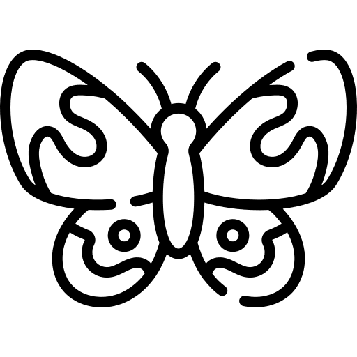 Butterfly entomology insect zoology icon