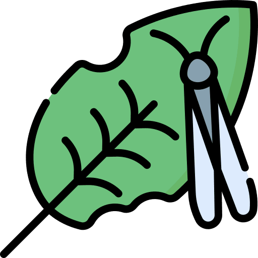 Plague dragonfly zoology farming and gardening icon