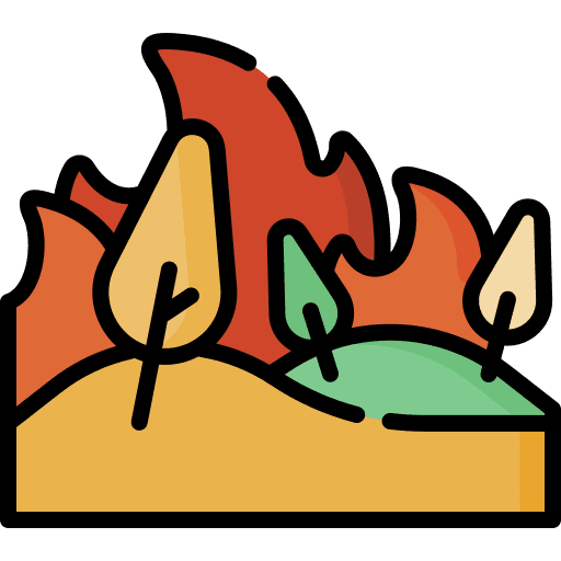 Wildfire burn tree wildfire icon
