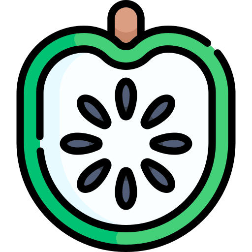 Guanabana fruit vegetarian food icon