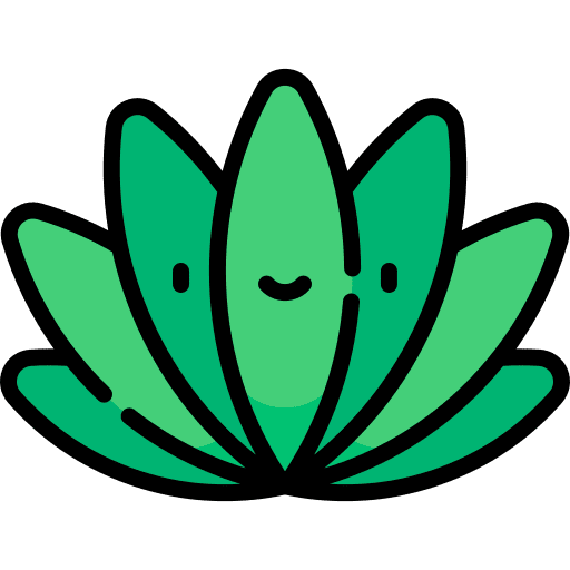 Agave agave mexico mexican icon