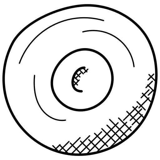 Compact disk compact disk cd burning cd icon