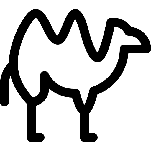 Camel dessert nature mammal icon