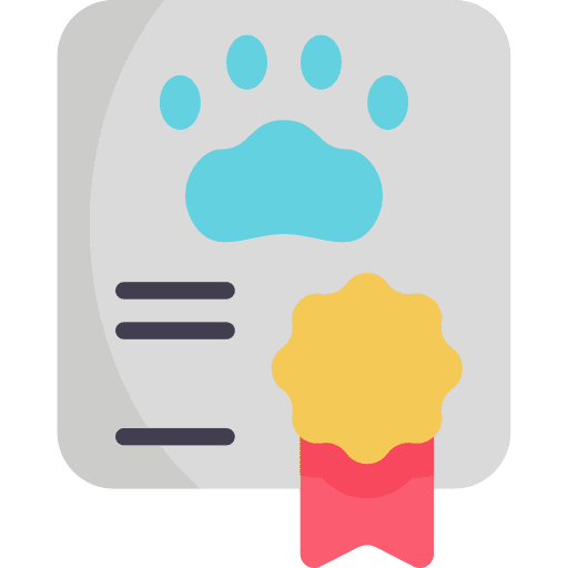 Certificate archive files and folders card icon