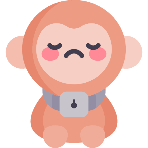 Monkey animal kingdom mammal zoo icon