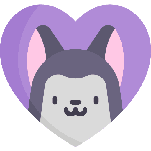Pets heart pets love icon