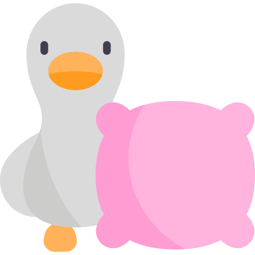 Pillow pillow feather natural icon