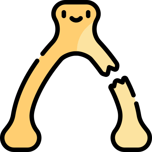 Wishbone bone miscellaneous bird icon
