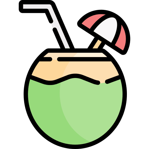 Cocktail party carnival coconut drink icon