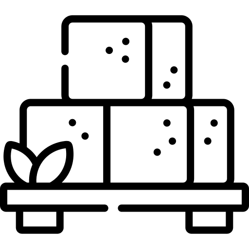 Tofu organic vegan food icon