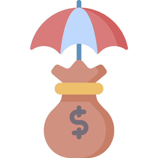 Insurance emergency funds natural disaster icon