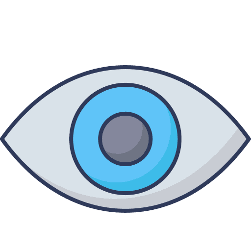 Eye vision observer sight icon