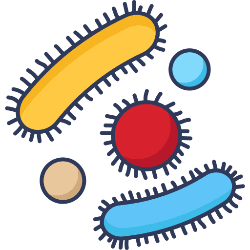 Bacteria cell virus bacteria icon