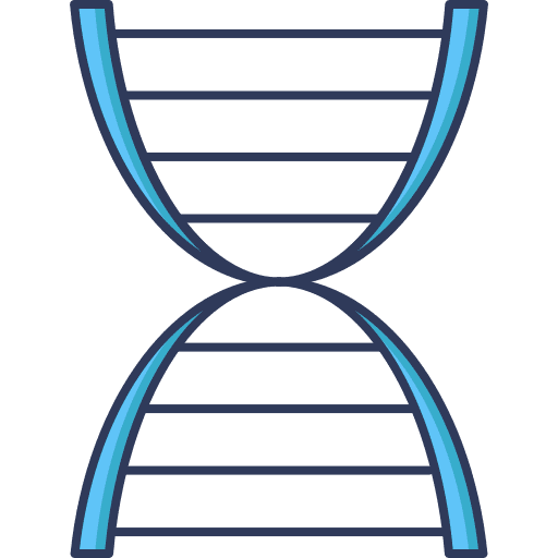 Dna structure biology dna structure icon
