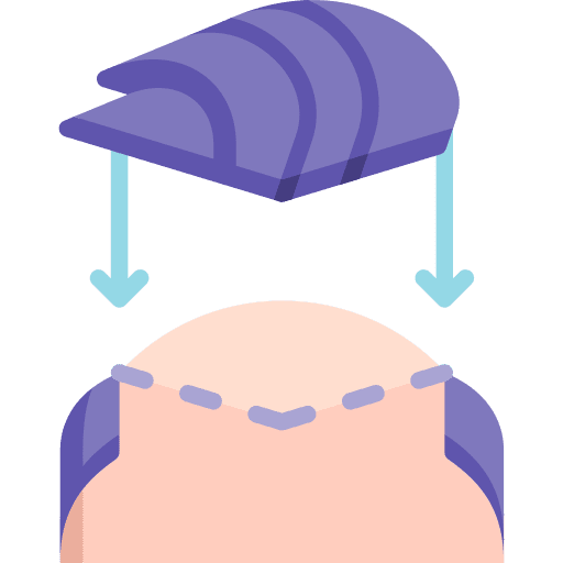 Hairpiece beauty hair hairstyle icon