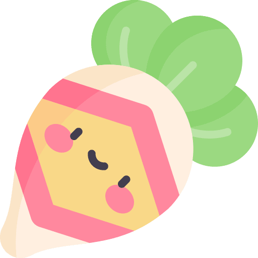 Radish vegetable radish healthy icon
