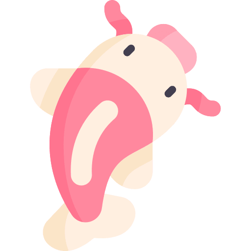 Carp fish koi fish japanese animals icon