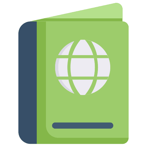 Visa identity identification pass icon