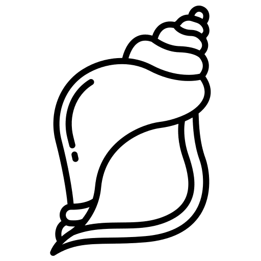 Conch shell sea snail conch shell animals icon