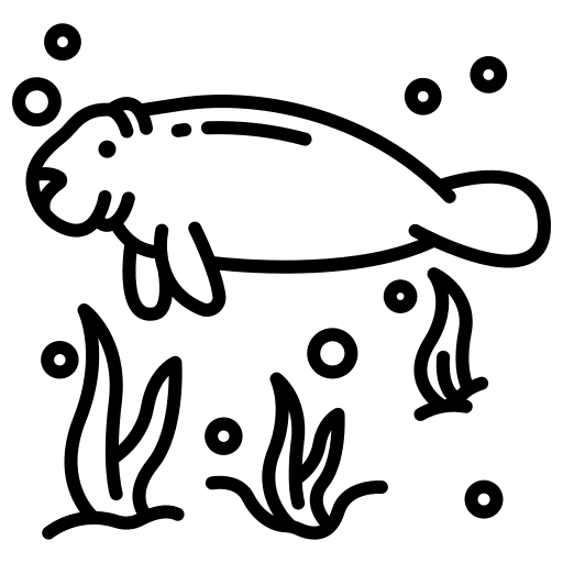 Manatee sea life mammals animal kingdom icon