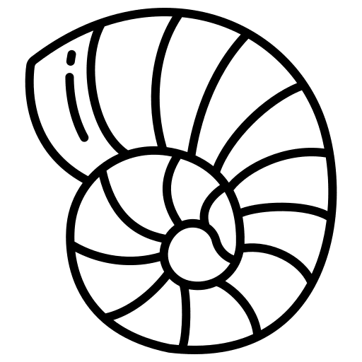 Shell shell sea life aquarium icon