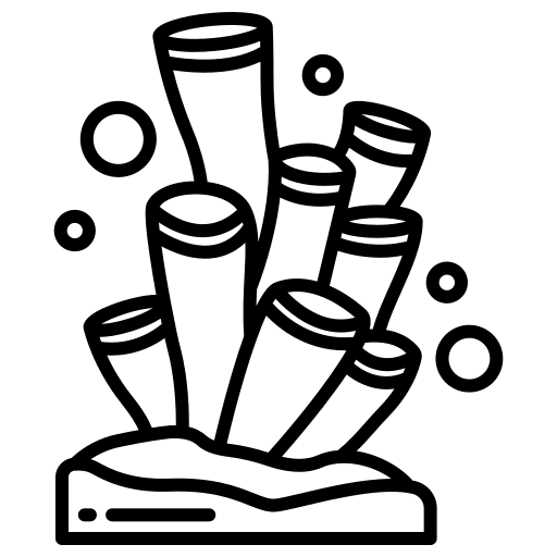 Coral underwater aquarium ocean icon