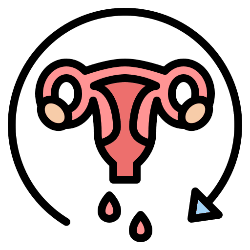 Menstrual cycle menstrual cycle cycle healthcare and medical icon