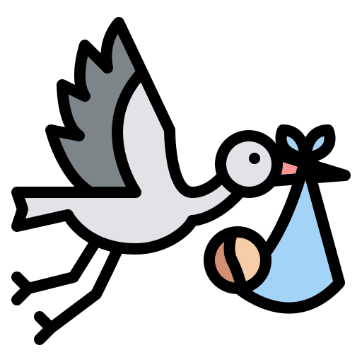 Newborn cultures birth baby icon