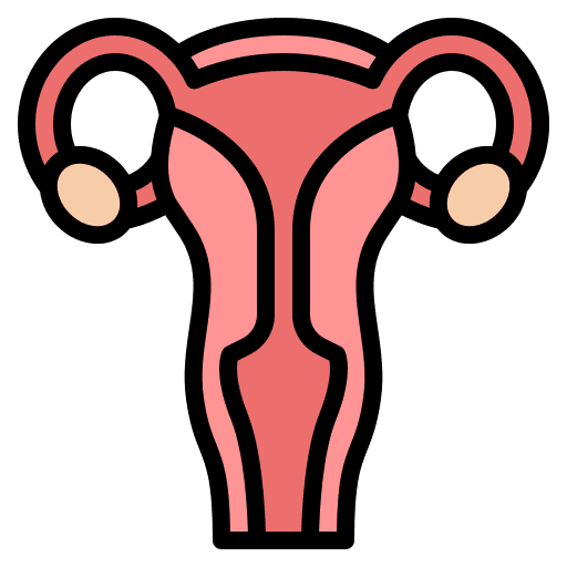 Uterus ovaries fallopian tubes vagina icon