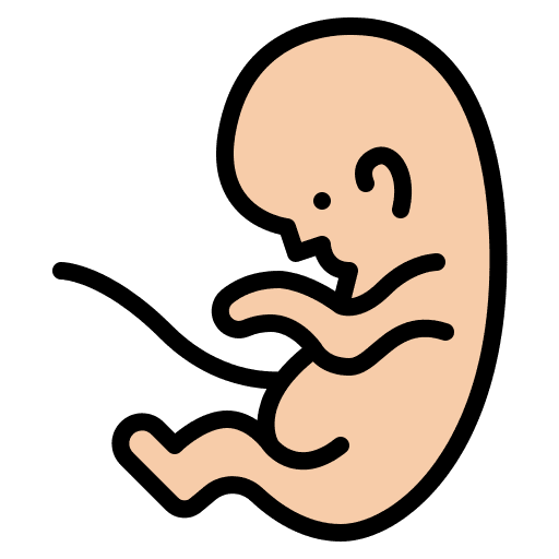 Fetus healthcare and medical fertility gestation icon