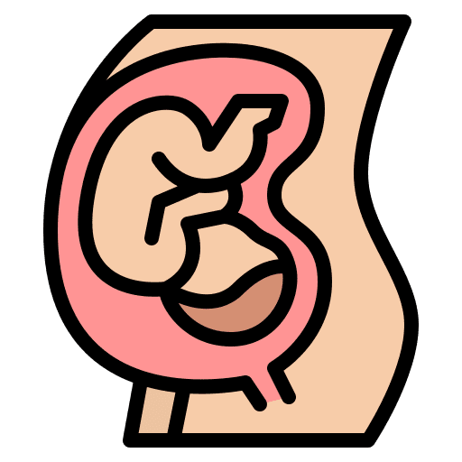 Pregnancy maternity baby fetus icon