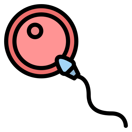 Fertilization healthcare and medical ovule fertility icon
