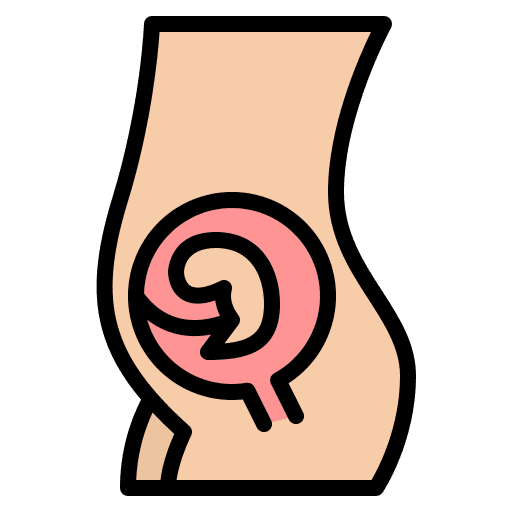 Pregnancy motherhood mother pregnancy icon