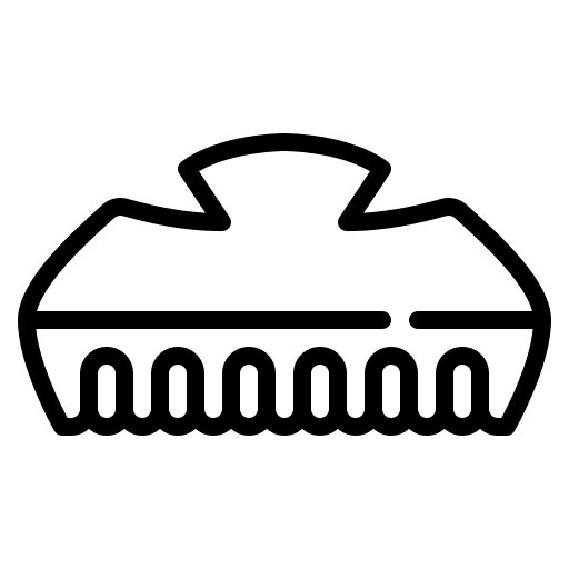 Hair clip wearing hair clip fashion icon