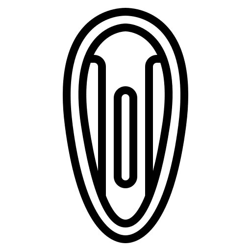 Hair clip woman accessory fashion icon