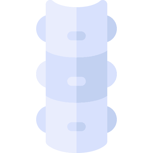 Dorsal spine bone anatomy healthcare icon