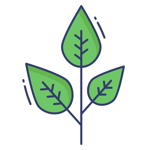 Leaf nature plant leaf icon