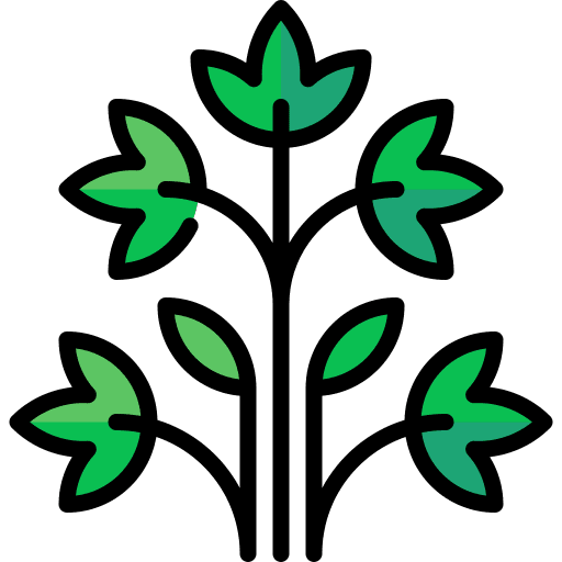 Karpas food and restaurant tradition salt water icon